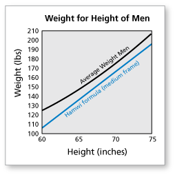 The Ideal Body Weights Of Men And Women